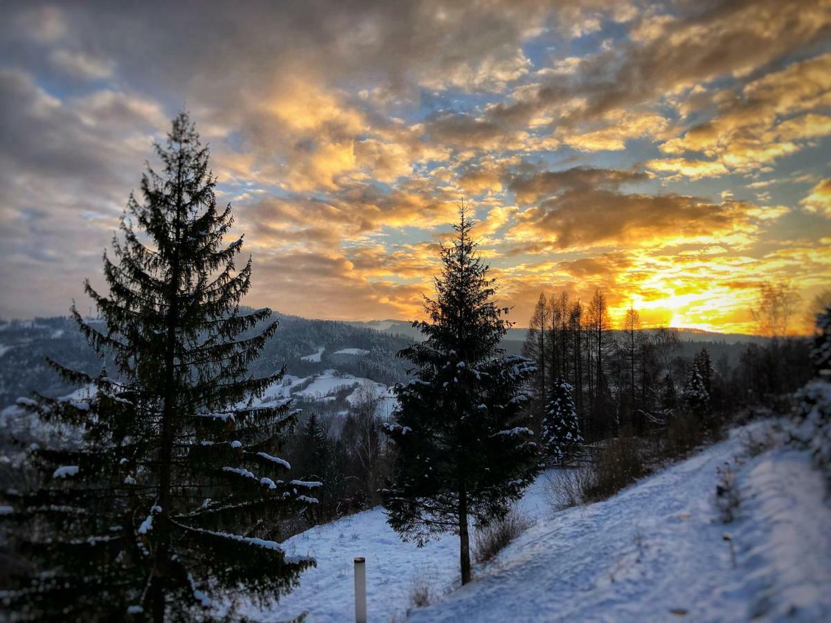 The Beskid View Weichsel Exterior foto